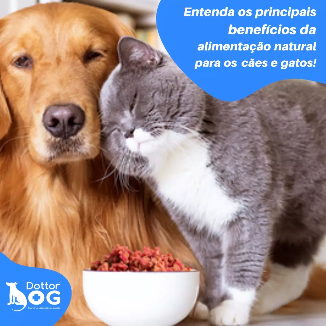 BENEFÍCIOS DA ALIMENTAÇÃO NATURAL PARA CÃES E GATOS